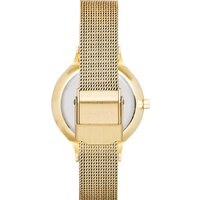 Skagen SKW2150 Image #5