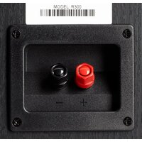 Polk Audio R300 Image #5