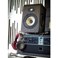 Focal Clear Mg Professional Image #17