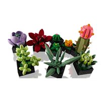 LEGO Creator Expert 10309 Суккуленты Image #6