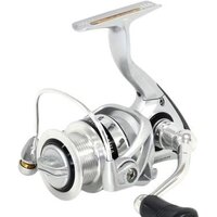 Ryobi Virtus Power 3000