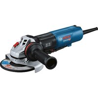 Bosch GWS 17-150 PS Professional 06017D1600