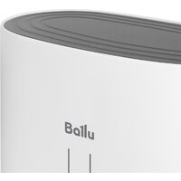 Ballu BWH/S 100 Cetrion Inox Inverter Image #5