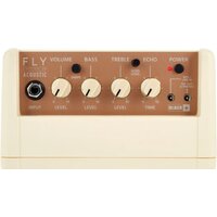 Blackstar Fly 3 Acoustic Image #8