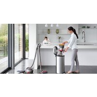 Dyson Big Ball Multifloor 2+ Image #5