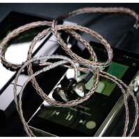 Astell&Kern AK T9iE Image #32