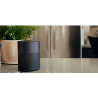 Bose Home Speaker 300 (черный) Image #6