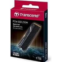 Transcend 250H 1TB TS1TMTE250H Image #4