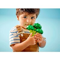 LEGO Duplo 10982 Трактор для перевозки овощей и фруктов Image #6