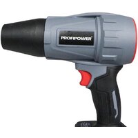 Profipower ProfiSet-2D20 (воздуходувка, цепная пила, 2 АКБ) Image #17