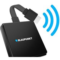 Blaupunkt A-stream Stick Image #17