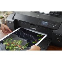 Canon PIXMA PRO-200 Image #10