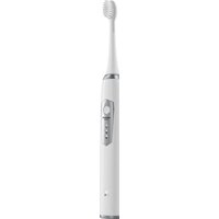 Whitewash SW2000