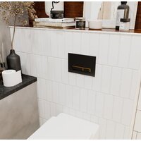 Lavinia Boho Relfix 5 в 1 77010051 (матовый черный/золотой глянец пластик) Image #4