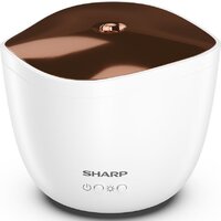 Sharp DF-A1E-W Image #4