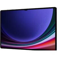 Samsung Galaxy Tab S9 Ultra Wi-Fi SM-X910 16GB/1TB (графитовый) Image #7