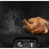 Napoleon TravelQ 285-1 Image #4