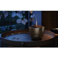 Sharp DF-A1E-T Image #3