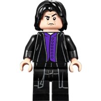 LEGO Harry Potter 75953 Гремучая ива Image #10