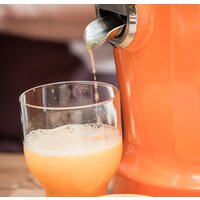 NOVIS Vita juicer (оранжевый) Image #3