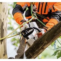 STIHL MSA 161 T (30 см, без АКБ) Image #3