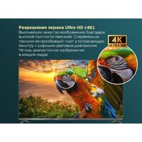 MAUNFELD MLT43USD02G Image #17