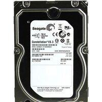 Seagate Constellation ES.3 1TB (ST1000NM0023)