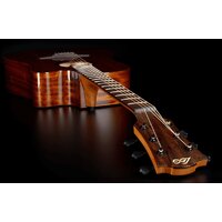 LAG Tramontane 98 T98DCE Image #5