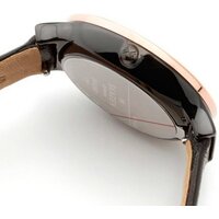 Skagen SKW2490 Image #5