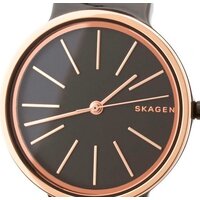 Skagen SKW2490 Image #3