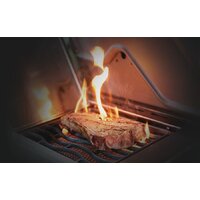 Napoleon Rogue-425 XT Image #15