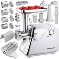 Berdsen BM-600