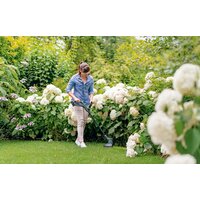 Bosch EasyGrassCut 18-26 06008C1C00 (с 1 АКБ) Image #2