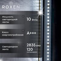 Roxen Зеркало Grown 510200-70GM 40x70 Image #11