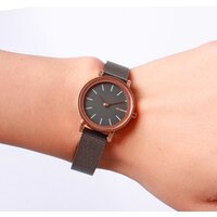Skagen SKW2492 Image #10