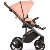 ROAN Bass Next (2 в 1, rosy mood) Image #4