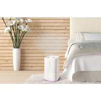 Concept ZV2010 Image #4