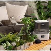 Levoit Classic 300S (серый) Image #5