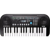 Kurzweil KP10