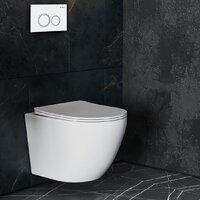 Roxen Antares в комплекте с инсталляцией StounFix Dual Fresh 6 в 1 501057 (кнопка: белый глянец) Image #9