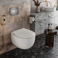 Roxen Egg в комплекте с инсталляцией StounFix Dual Fresh 6 в 1 964215 (кнопка: оружейная сталь) Image #9