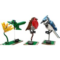 LEGO 21301 Birds Image #2