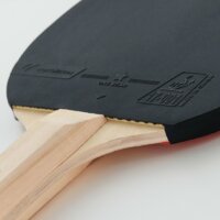 Cornilleau Sport 100 Image #3