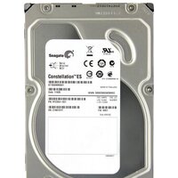Seagate Constellation ES 1TB (ST1000NM0001)