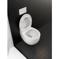 Roxen Egg в комплекте с инсталляцией StounFix Dual Fresh 6 в 1 964195 (кнопка: черный матовый) Image #13