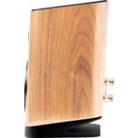 Elac Vela BS 403 (бежевый) Image #4