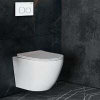 Roxen Antares в комплекте с инсталляцией StounFix Dual Fresh 6 в 1 533395 (кнопка: белый глянец) Image #13
