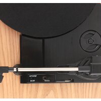 ION Audio MAX LP (дерево) Image #5