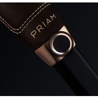 Cybex Priam IV (2 в 1, Petticoat) Image #6