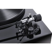 Magnat MTT 990 (со звукоснимателем) Image #3